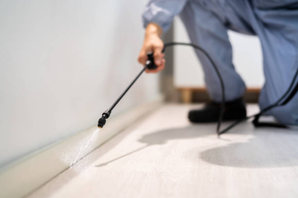 Licensed Mosquito Control service in Gretna, FL - Show Me Pest Control
