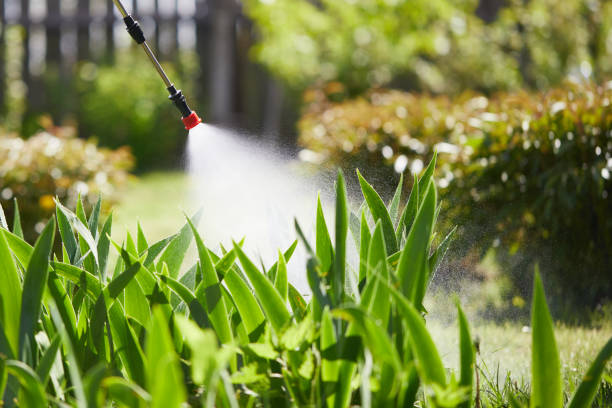 24/7 Emergency Mosquito Control experts in Gretna, FL