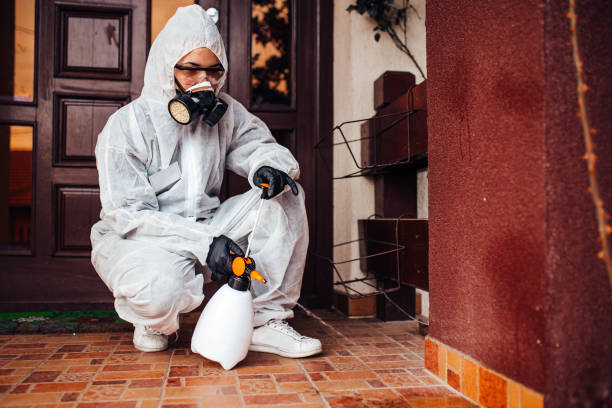 Reliable Mosquito Control contractor in Gretna, FL by Show Me Pest Control